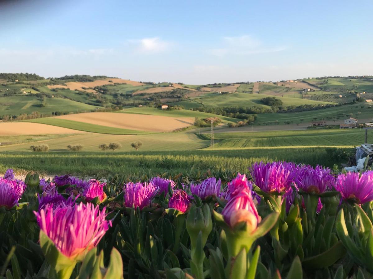 La Trave Bed & Breakfast Montecosaro  Luaran gambar